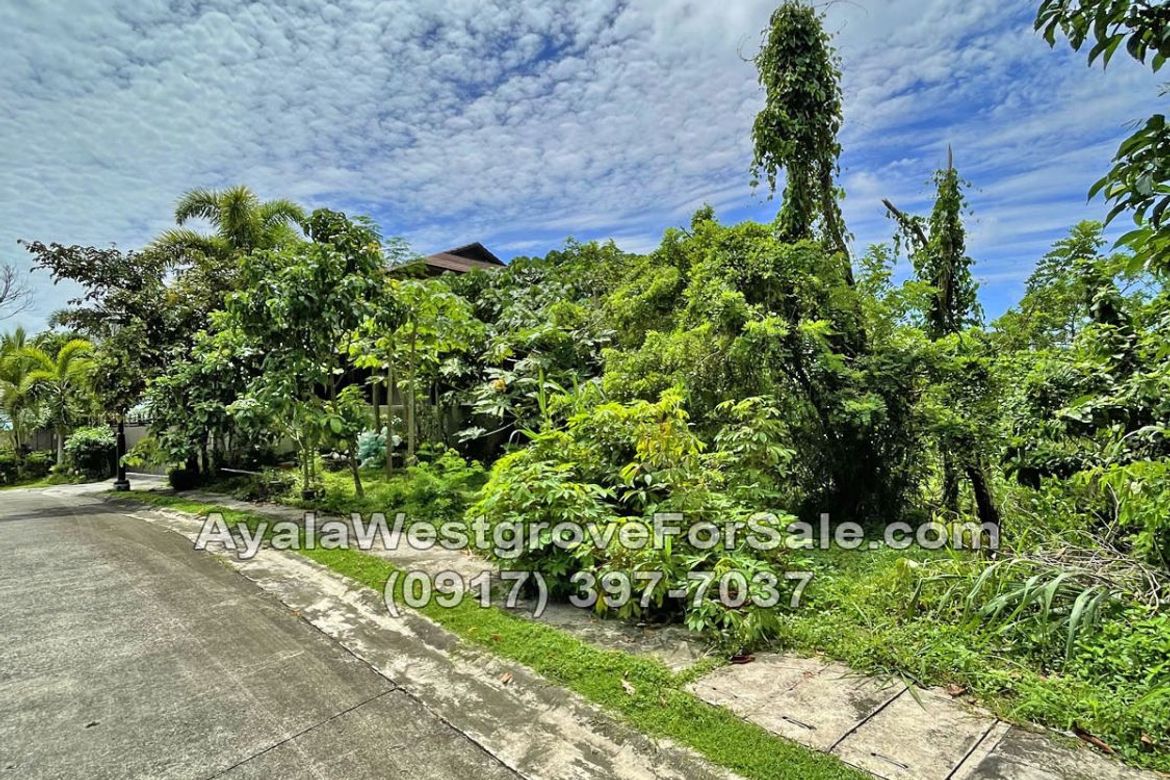 Land for Sale in Ayala Westgrove Heights, Inchican, Silang, Cavite – photo 2