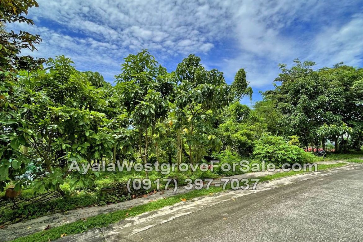 Land for Sale in Ayala Westgrove Heights, Inchican, Silang, Cavite – photo 4