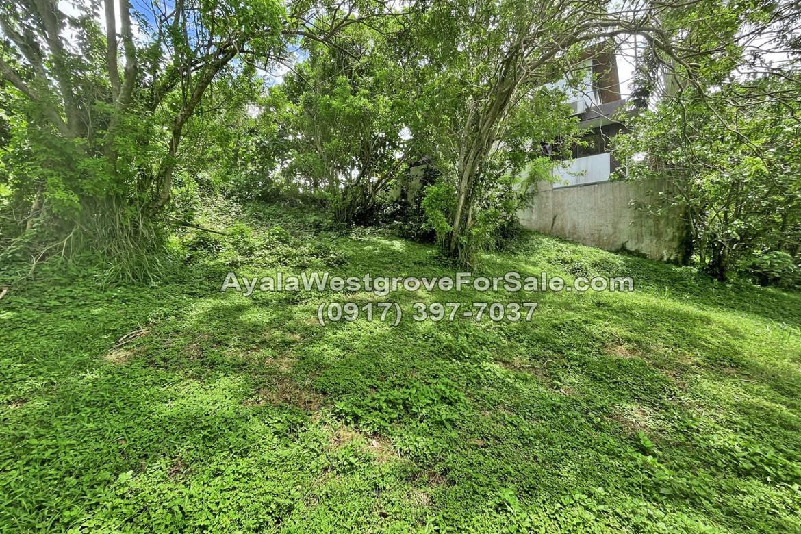 Land for Sale in Ayala Westgrove Heights, Inchican, Silang, Cavite – photo 6