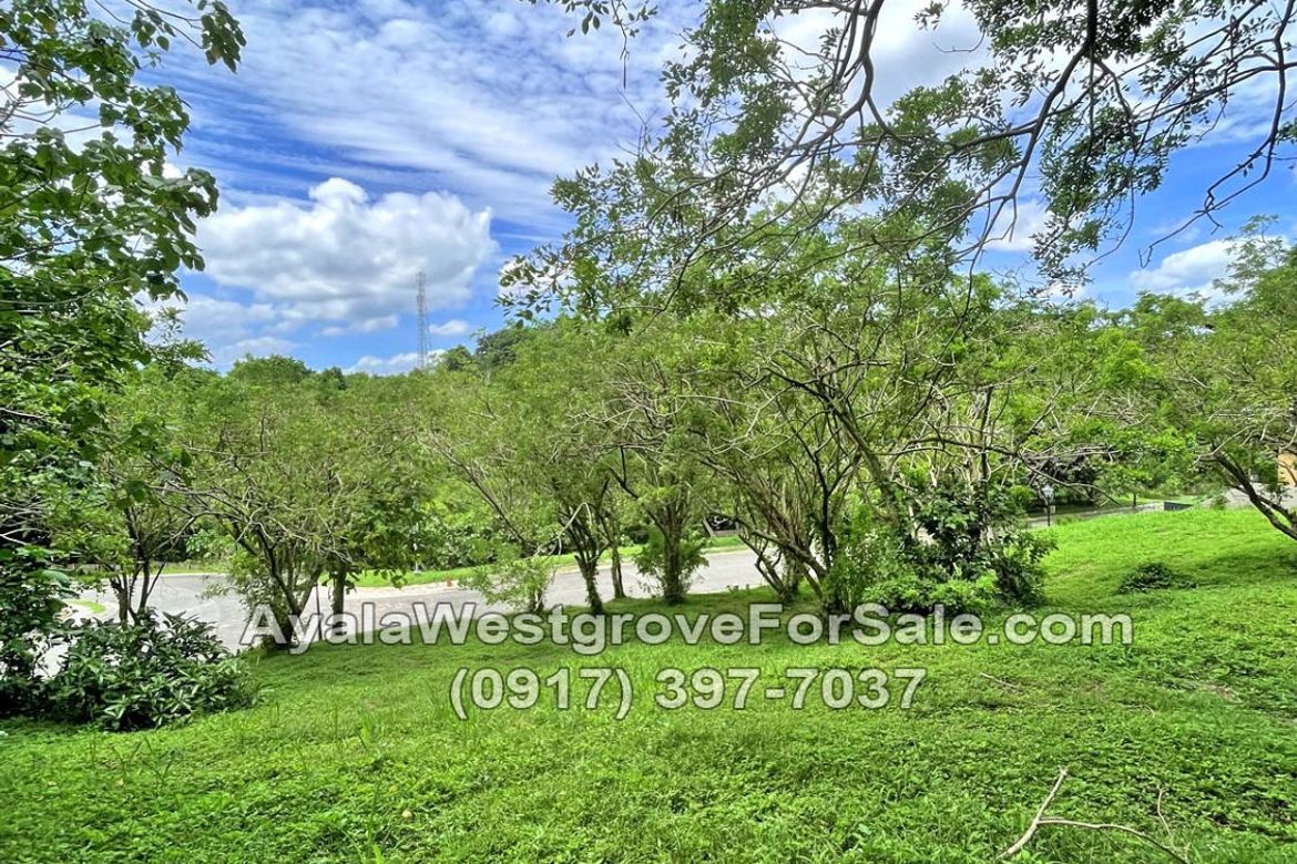 Land for Sale in Ayala Westgrove Heights, Inchican, Silang, Cavite – photo 7