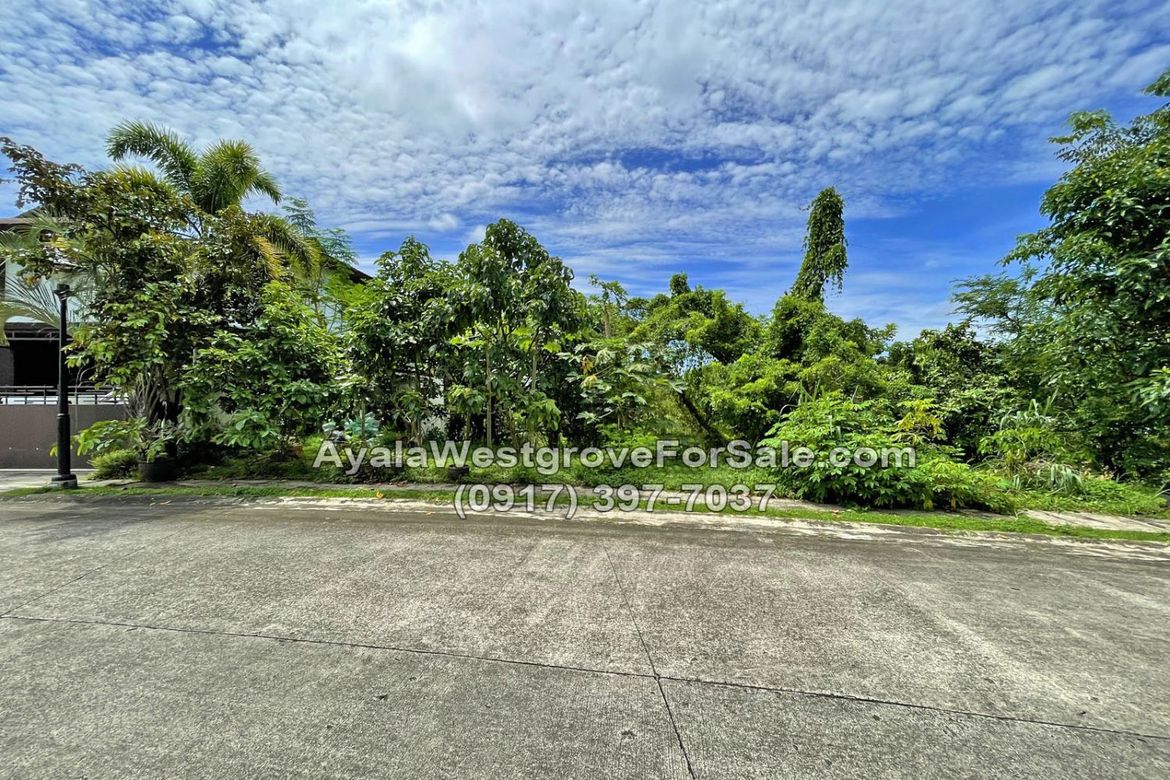 Land for Sale in Ayala Westgrove Heights, Inchican, Silang, Cavite – photo 8