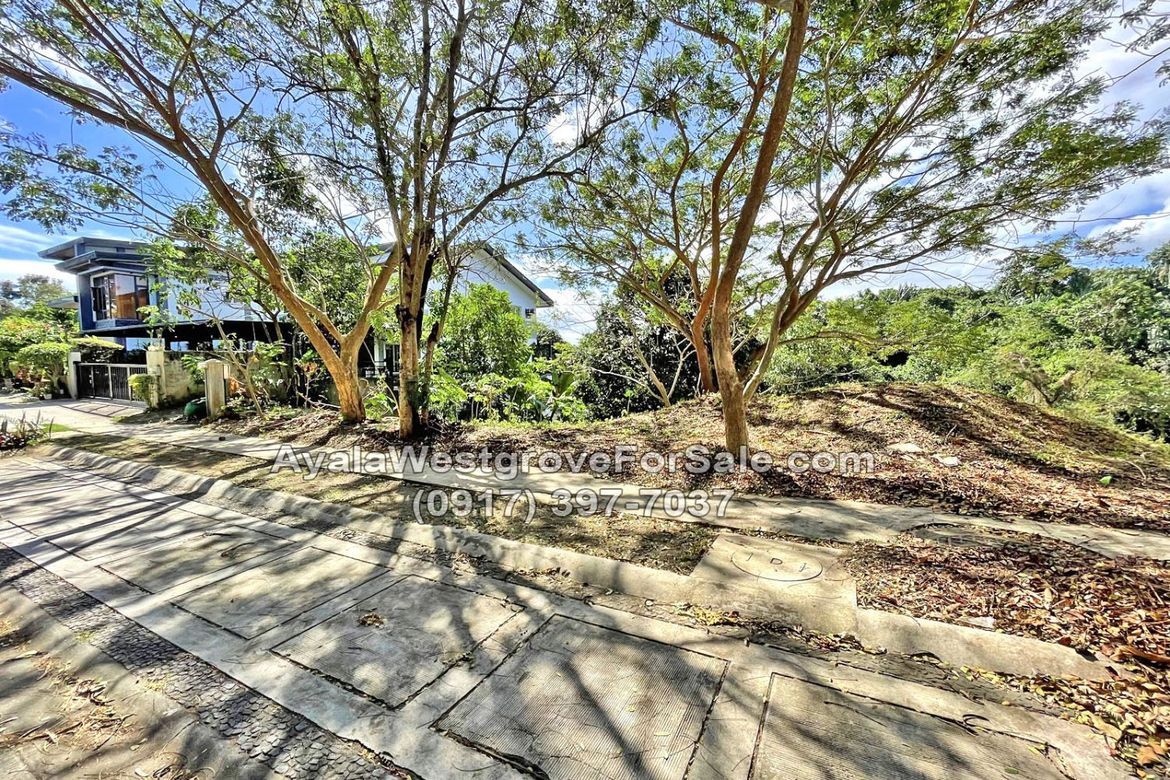 Land for Sale in Ayala Westgrove Heights, Inchican, Silang, Cavite