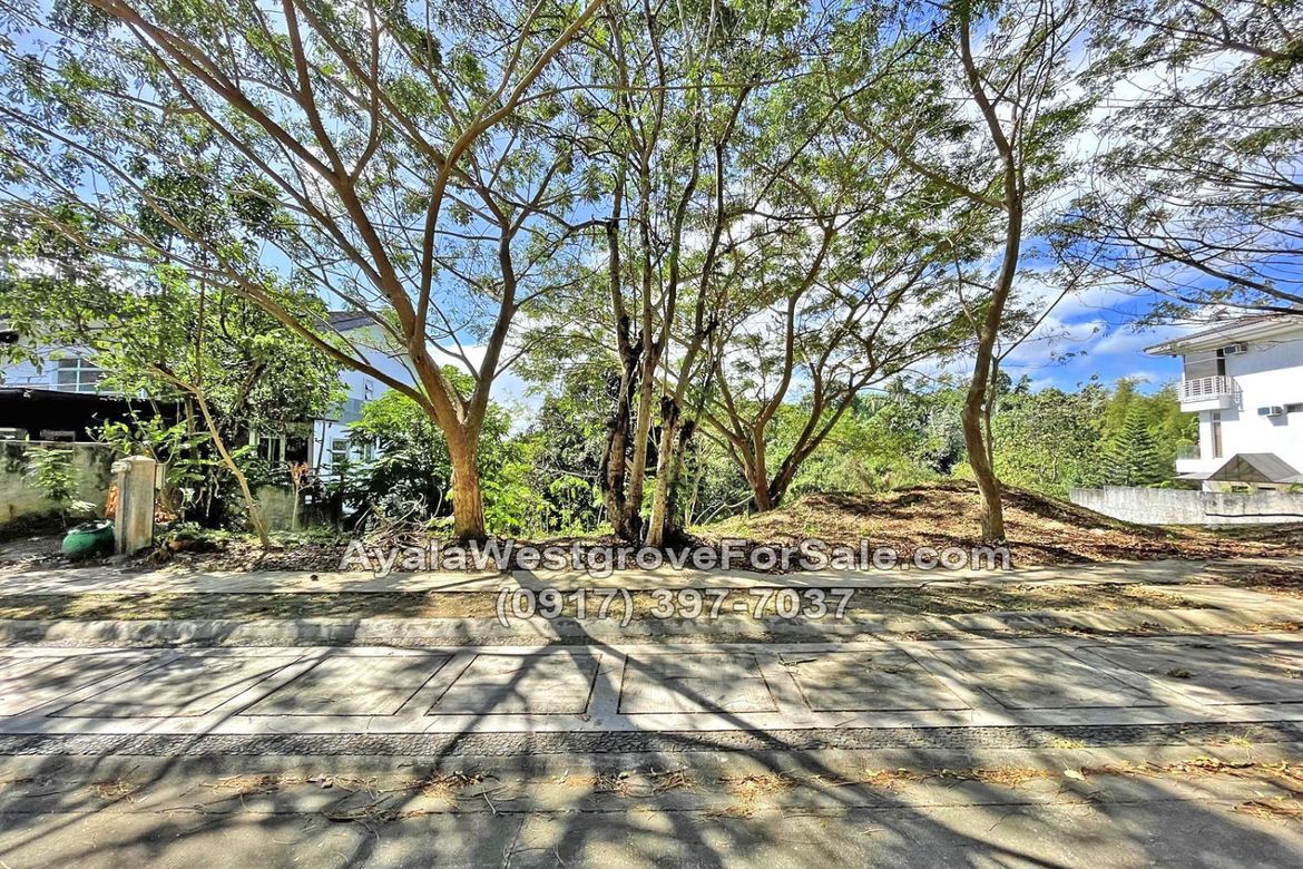 Land for Sale in Ayala Westgrove Heights, Inchican, Silang, Cavite – photo 2