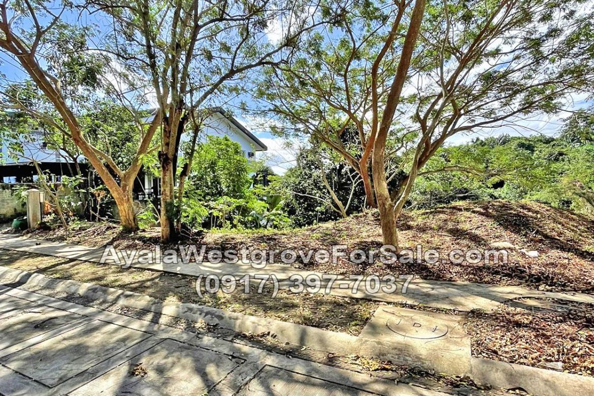 Land for Sale in Ayala Westgrove Heights, Inchican, Silang, Cavite – photo 4