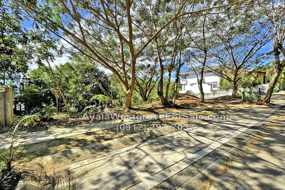 Land for Sale in Ayala Westgrove Heights, Inchican, Silang, Cavite – photo 5