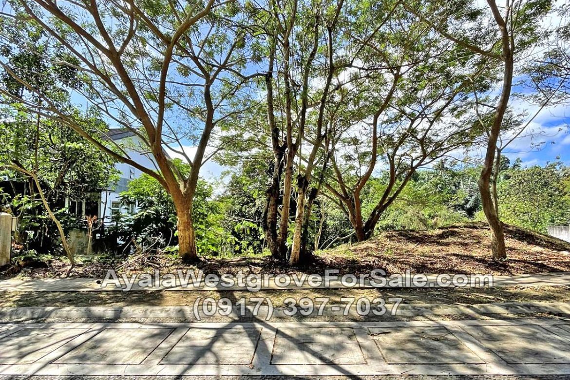 Land for Sale in Ayala Westgrove Heights, Inchican, Silang, Cavite – photo 7