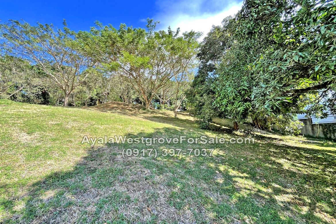 Land for Sale in Ayala Westgrove Heights, Inchican, Silang, Cavite – photo 8