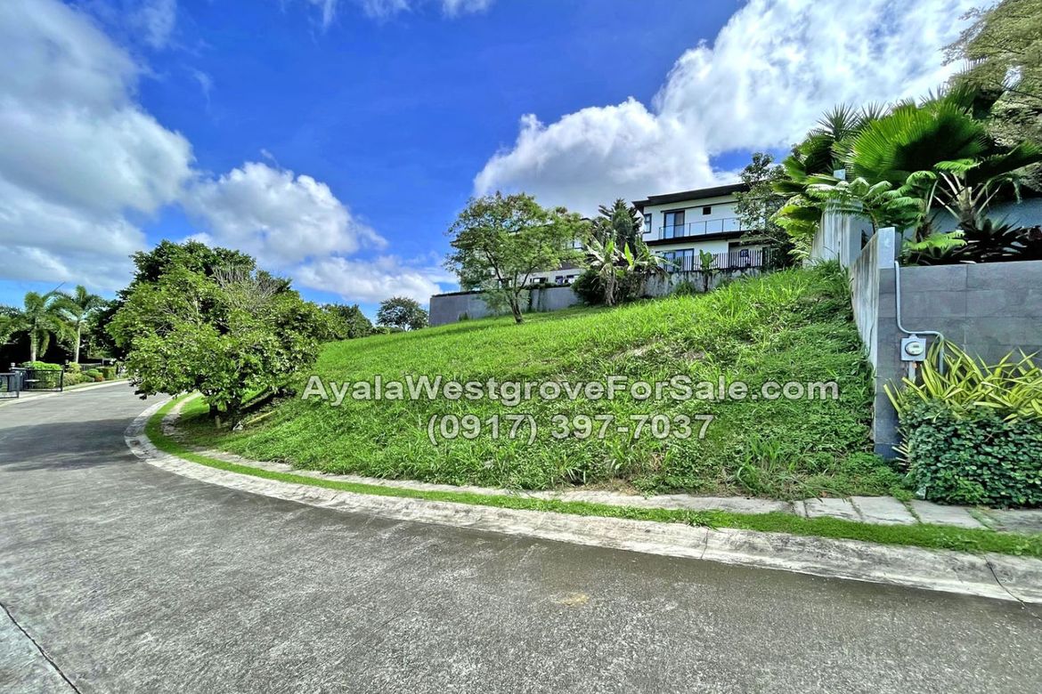 Land for Sale in Ayala Westgrove Heights, Inchican, Silang, Cavite – photo 3