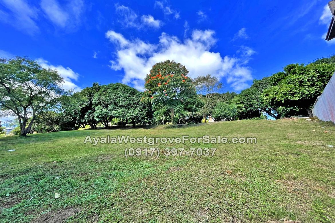 Land for Sale in Ayala Westgrove Heights, Inchican, Silang, Cavite