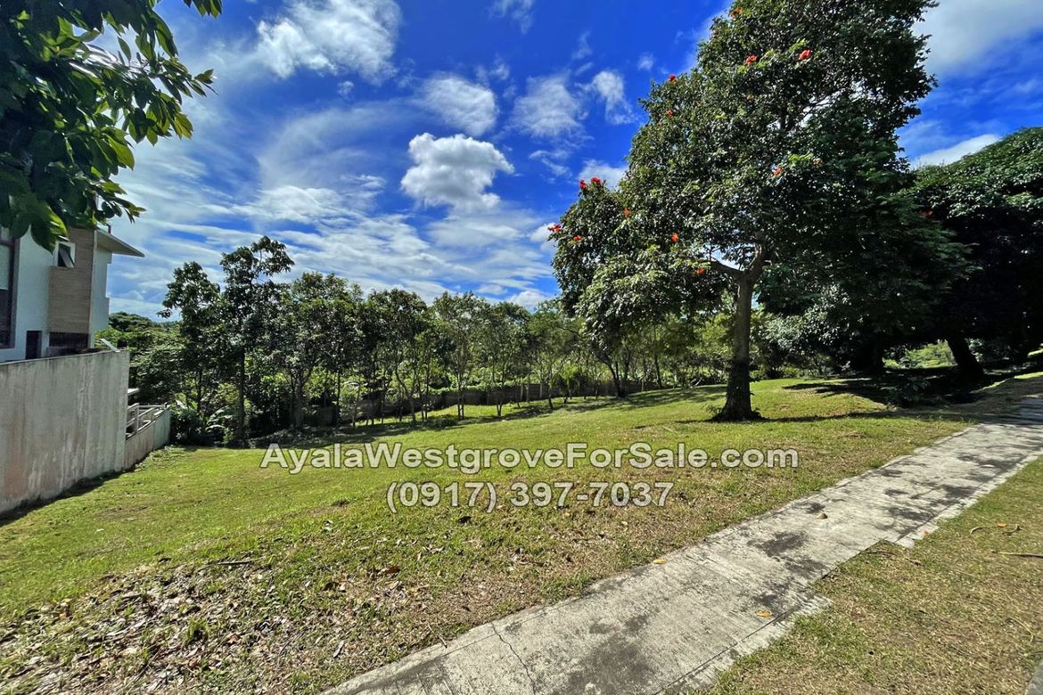 Land for Sale in Ayala Westgrove Heights, Inchican, Silang, Cavite – photo 3