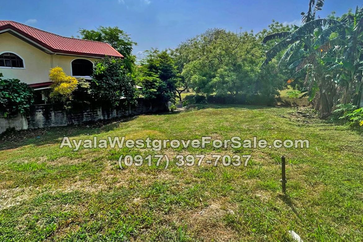 Land for Sale in Ayala Westgrove Heights, Inchican, Silang, Cavite – photo 6