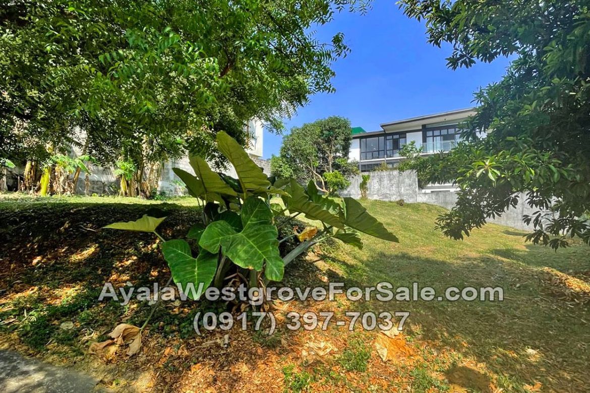 Land for Sale in Ayala Westgrove Heights, Inchican, Silang, Cavite – photo 7
