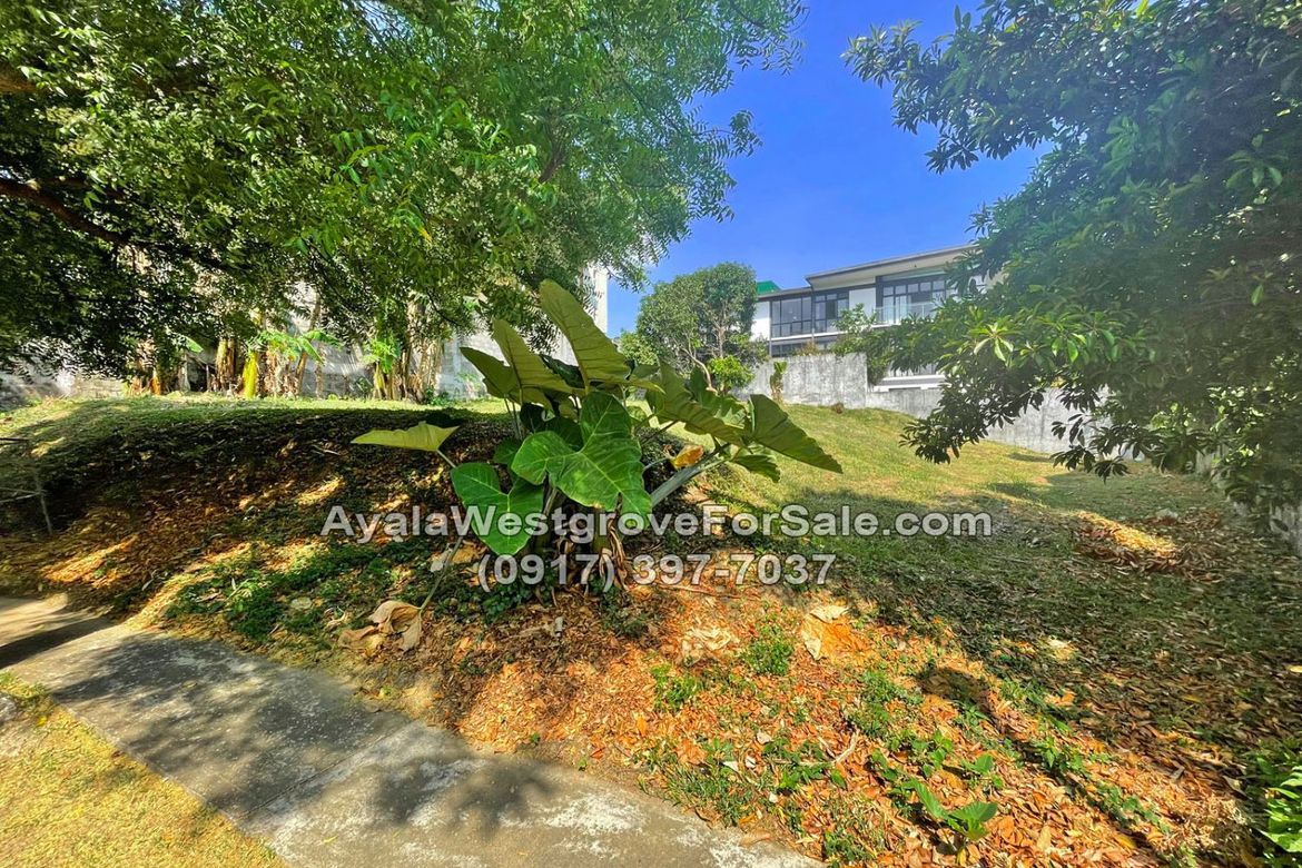 Land for Sale in Ayala Westgrove Heights, Inchican, Silang, Cavite – photo 8
