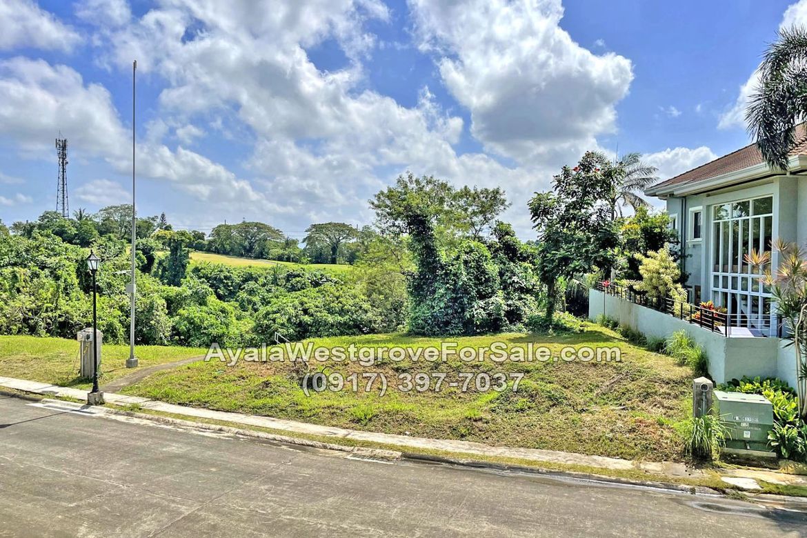 Land for Sale in Ayala Westgrove Heights, Inchican, Silang, Cavite – photo 4