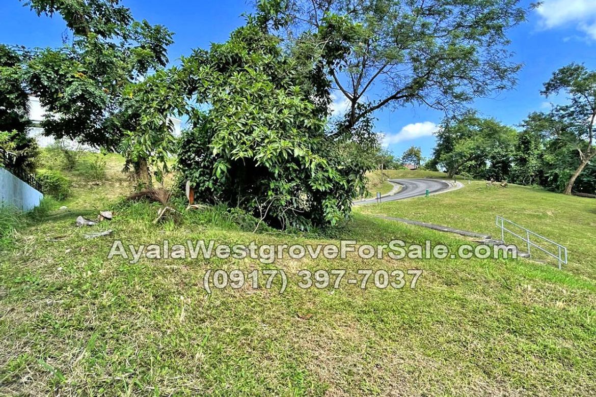 Land for Sale in Ayala Westgrove Heights, Inchican, Silang, Cavite – photo 7