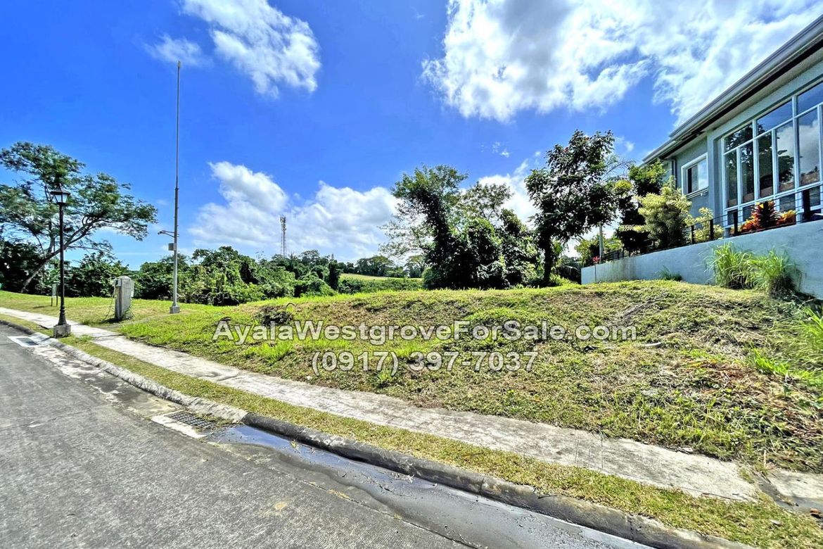 Land for Sale in Ayala Westgrove Heights, Inchican, Silang, Cavite – photo 8