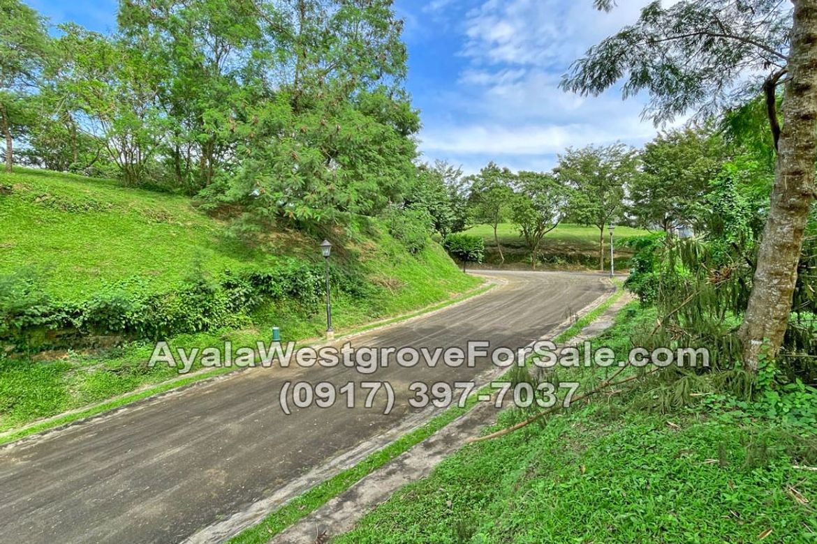 Land for Sale in Ayala Westgrove Heights, Inchican, Silang, Cavite – photo 2