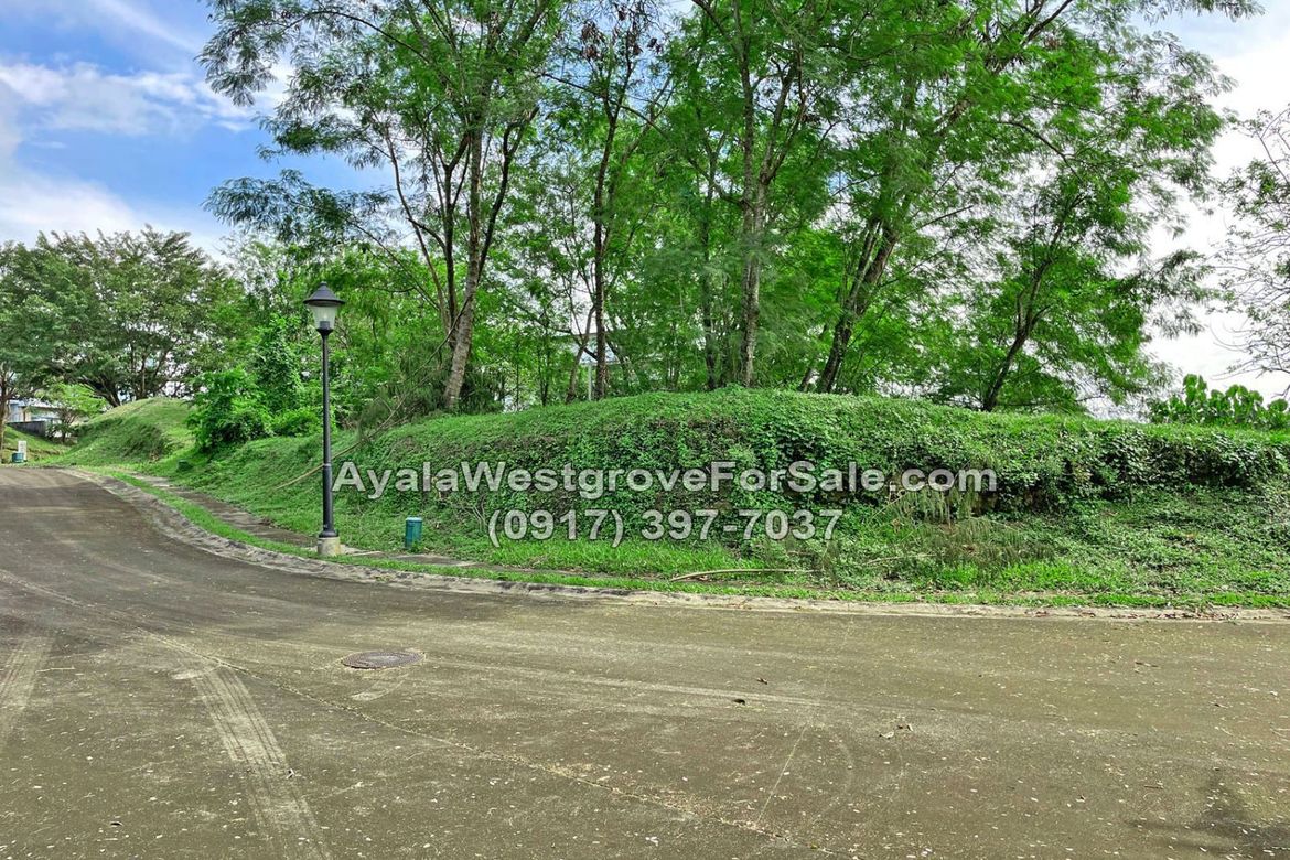 Land for Sale in Ayala Westgrove Heights, Inchican, Silang, Cavite – photo 7