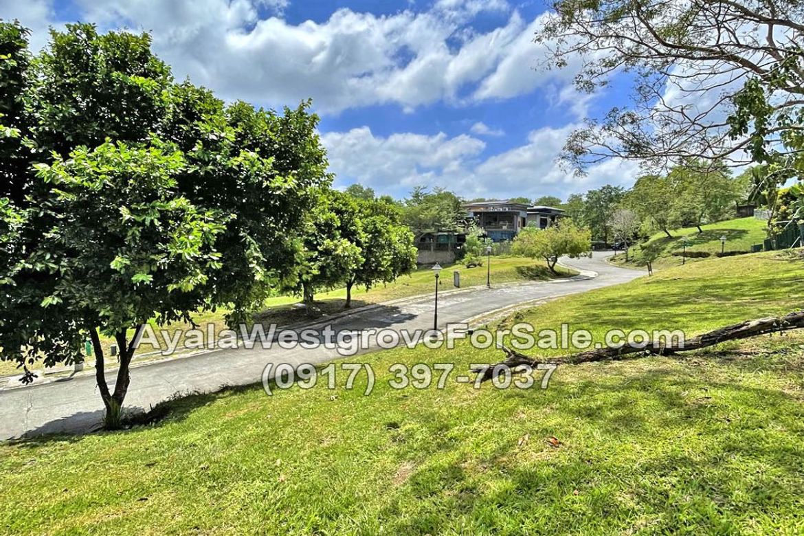 Land for Sale in Ayala Westgrove Heights, Inchican, Silang, Cavite