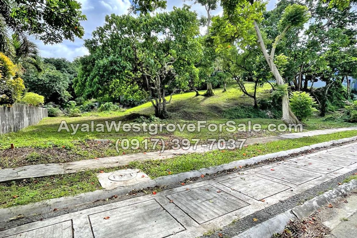 Land for Sale in Ayala Westgrove Heights, Inchican, Silang, Cavite – photo 3