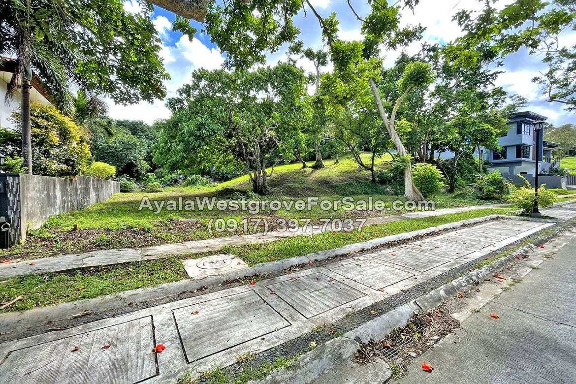 Land for Sale in Ayala Westgrove Heights, Inchican, Silang, Cavite – photo 5