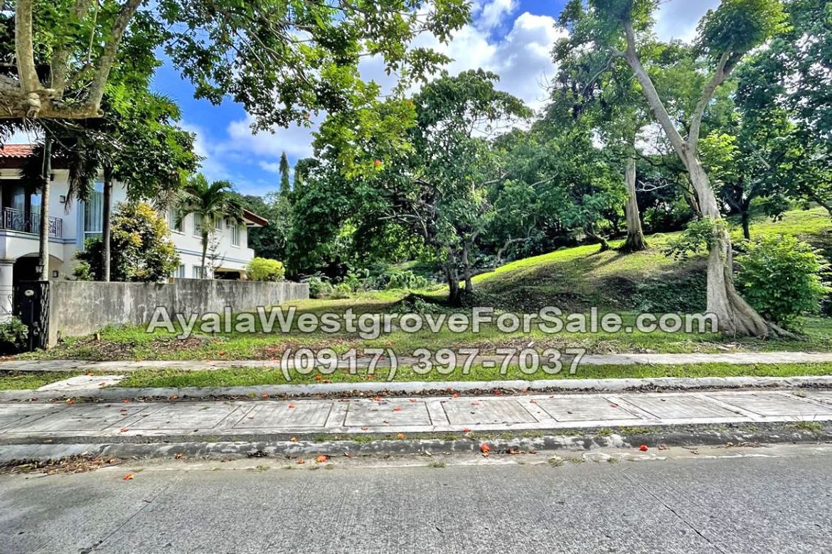 Land for Sale in Ayala Westgrove Heights, Inchican, Silang, Cavite – photo 6