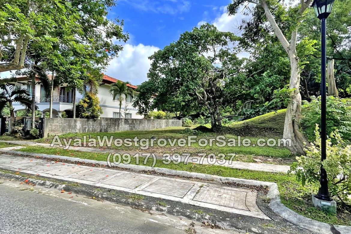 Land for Sale in Ayala Westgrove Heights, Inchican, Silang, Cavite – photo 8