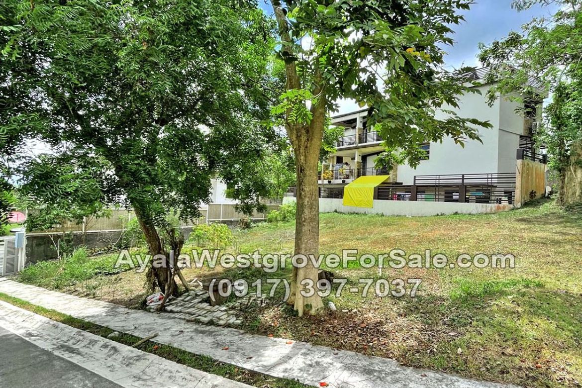 Land for Sale in Ayala Westgrove Heights, Inchican, Silang, Cavite – photo 5