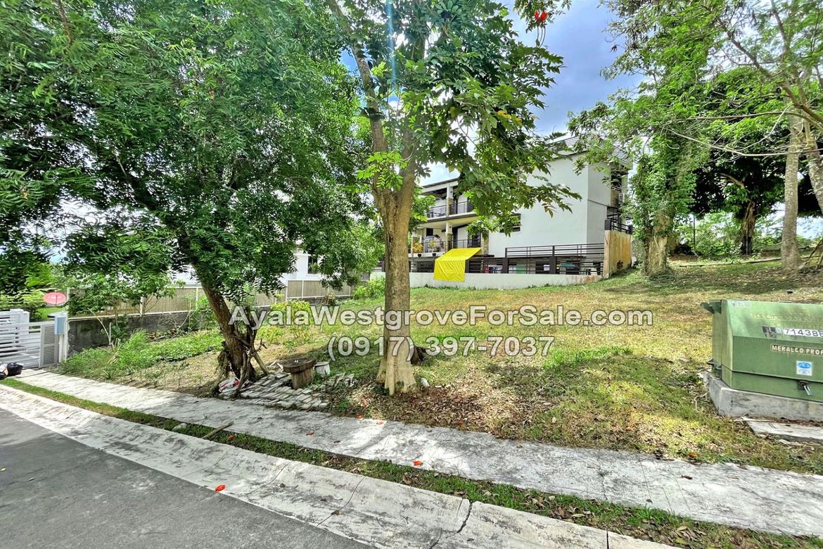 Land for Sale in Ayala Westgrove Heights, Inchican, Silang, Cavite – photo 6