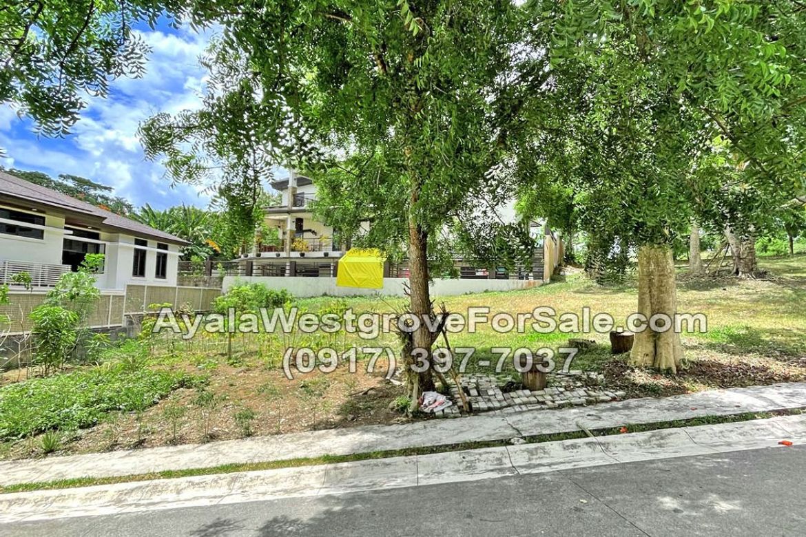 Land for Sale in Ayala Westgrove Heights, Inchican, Silang, Cavite – photo 7