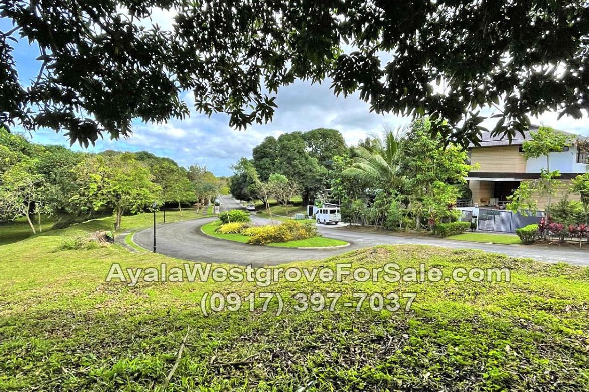 Land for Sale in Ayala Westgrove Heights, Inchican, Silang, Cavite