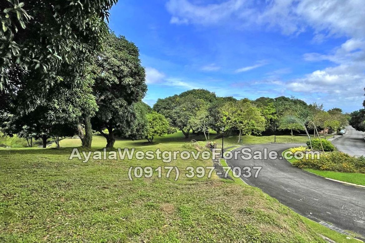 Land for Sale in Ayala Westgrove Heights, Inchican, Silang, Cavite – photo 5