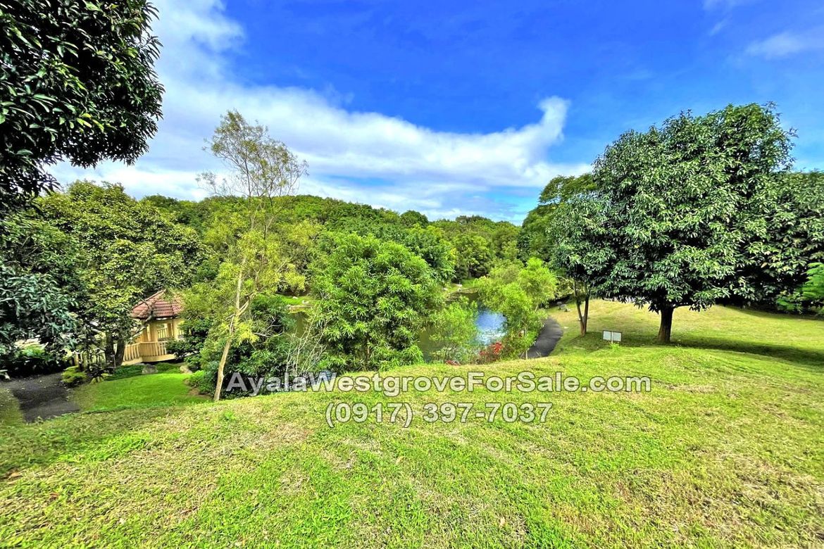 Land for Sale in Ayala Westgrove Heights, Inchican, Silang, Cavite – photo 6