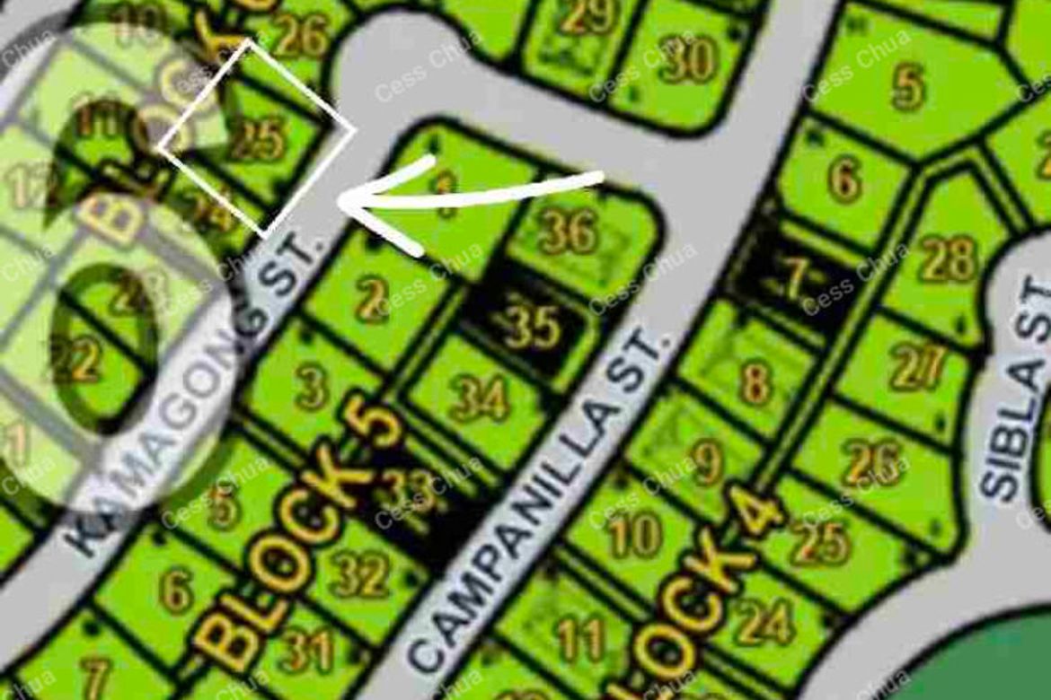 Land for Sale in Ayala Westgrove Heights, Inchican, Silang, Cavite