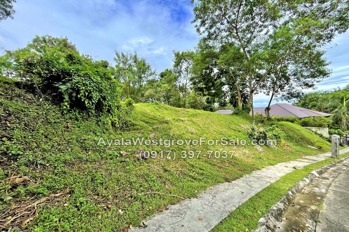 Land for Sale in Ayala Westgrove Heights, Inchican, Silang, Cavite – photo 2
