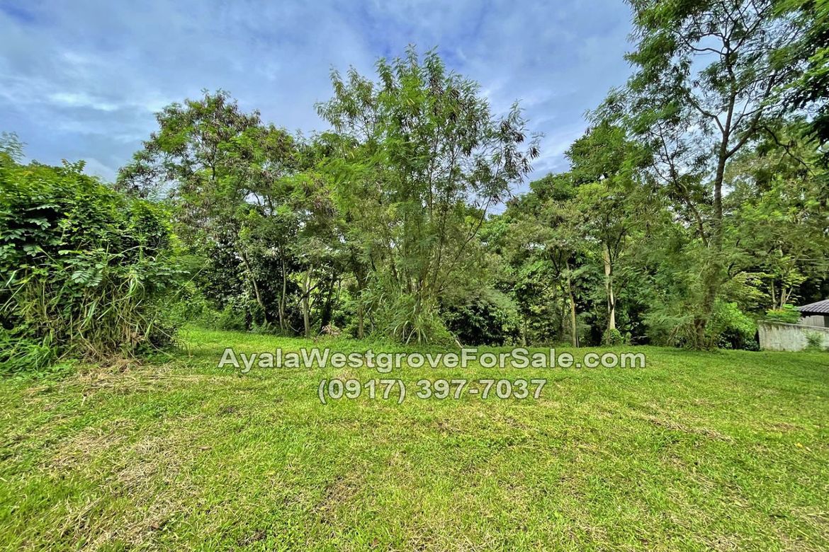 Land for Sale in Ayala Westgrove Heights, Inchican, Silang, Cavite – photo 3
