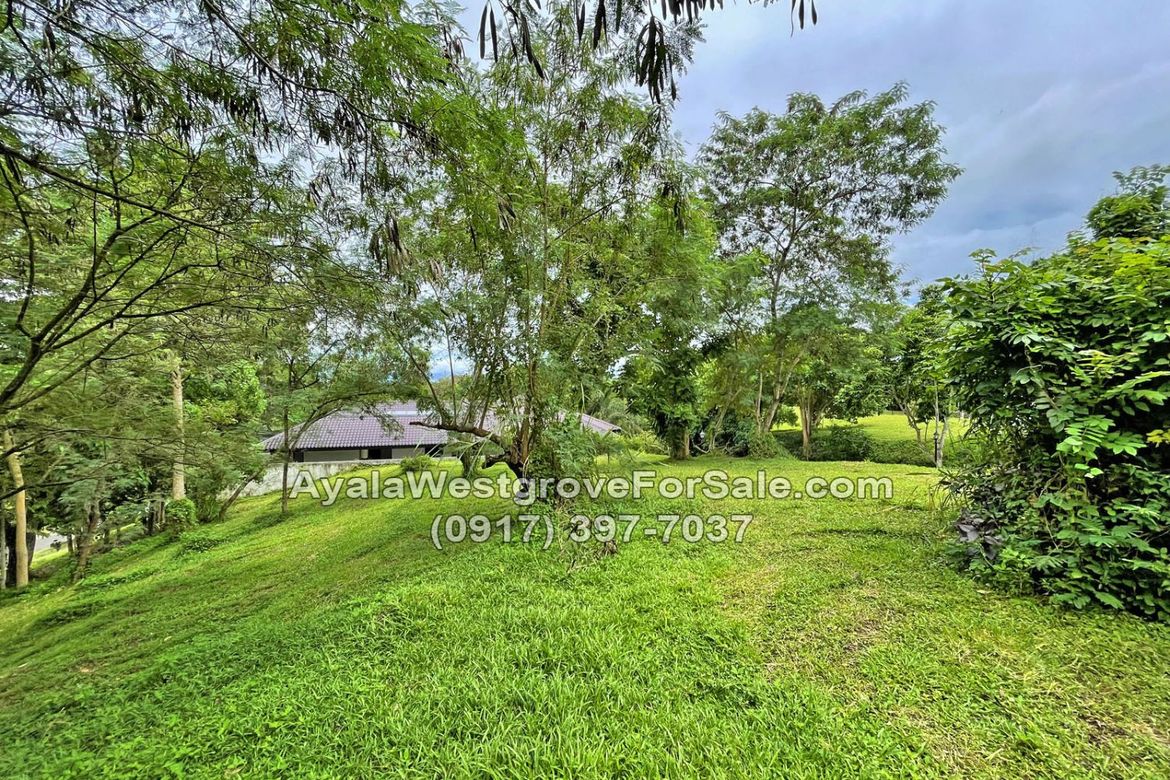 Land for Sale in Ayala Westgrove Heights, Inchican, Silang, Cavite – photo 4