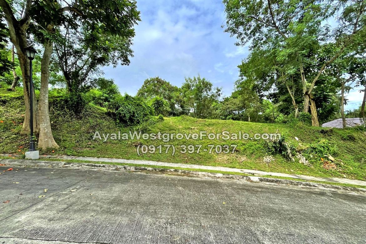 Land for Sale in Ayala Westgrove Heights, Inchican, Silang, Cavite – photo 8
