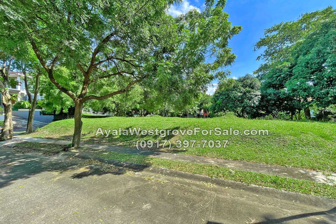 Land for Sale in Ayala Westgrove Heights, Inchican, Silang, Cavite – photo 4