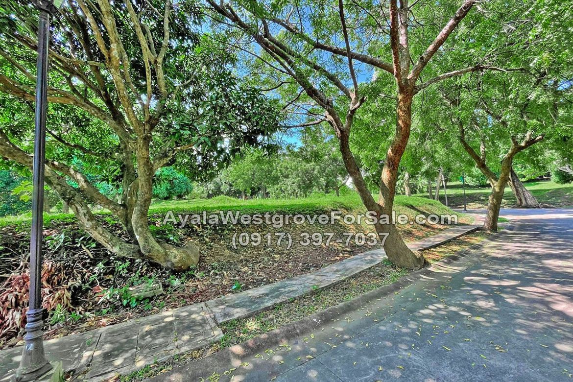 Land for Sale in Ayala Westgrove Heights, Inchican, Silang, Cavite – photo 5