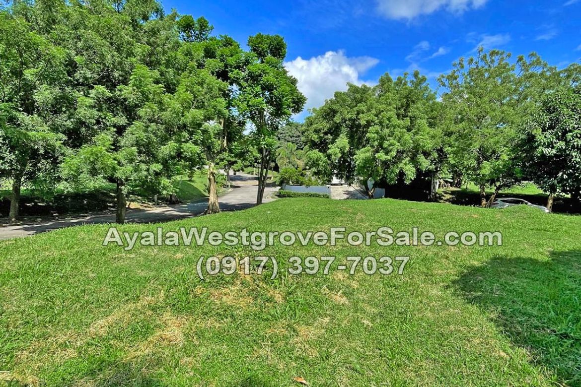 Land for Sale in Ayala Westgrove Heights, Inchican, Silang, Cavite – photo 6