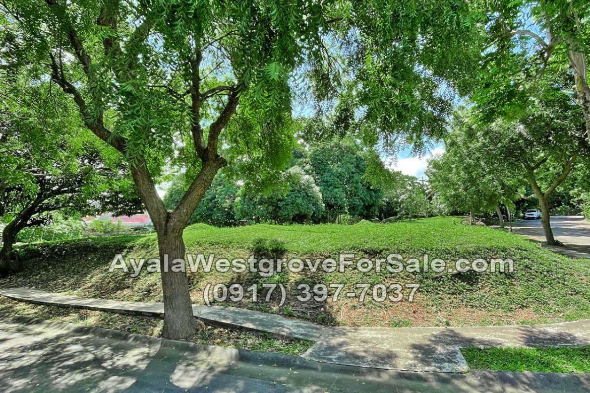 Land for Sale in Ayala Westgrove Heights, Inchican, Silang, Cavite – photo 8