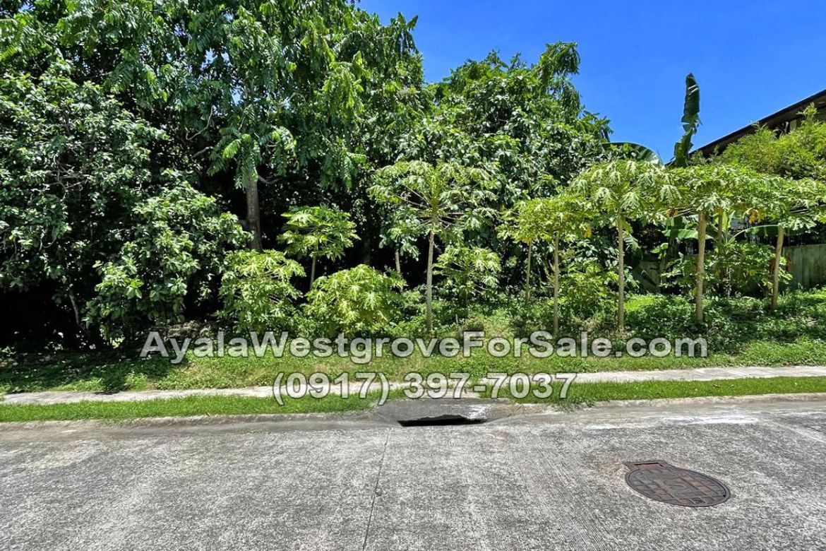 Land for Sale in Ayala Westgrove Heights, Inchican, Silang, Cavite