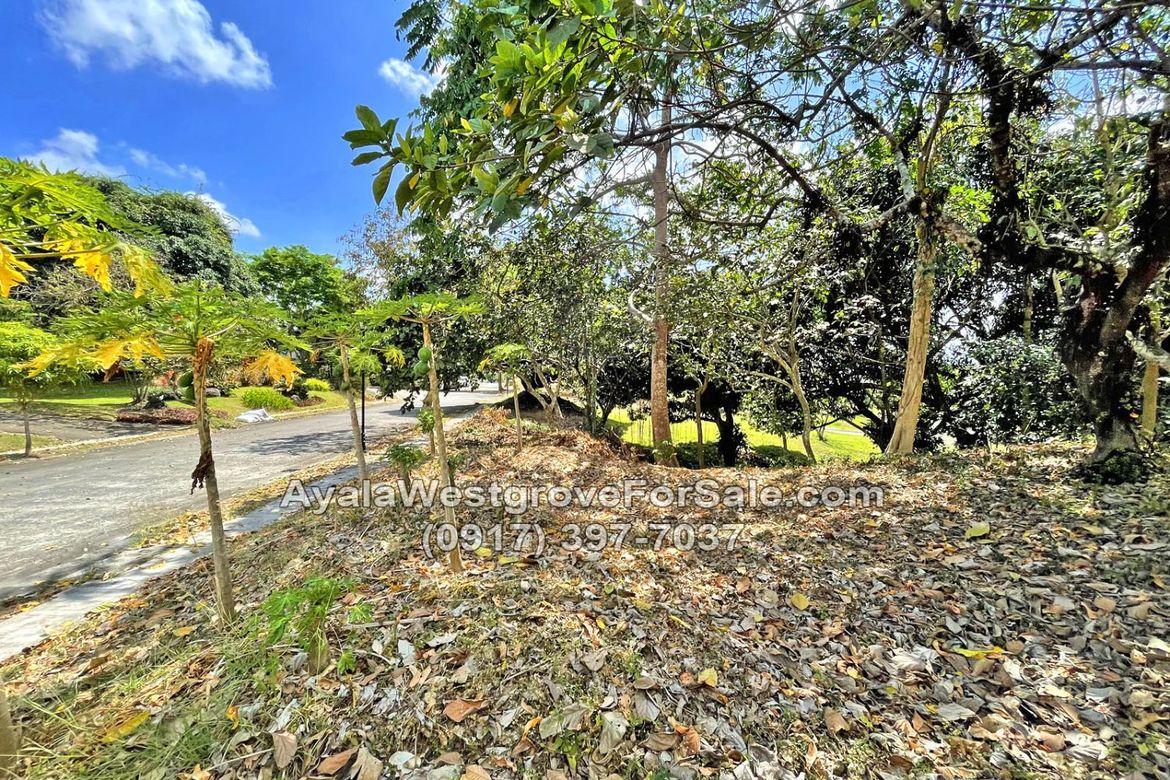 Land for Sale in Ayala Westgrove Heights, Inchican, Silang, Cavite – photo 2