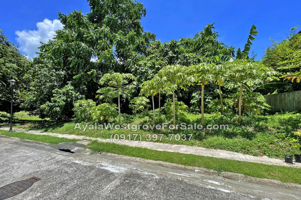 Land for Sale in Ayala Westgrove Heights, Inchican, Silang, Cavite – photo 5