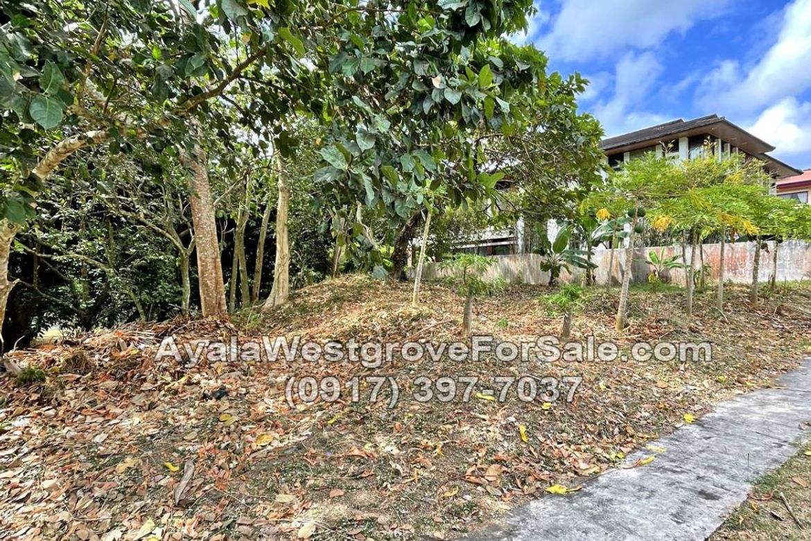 Land for Sale in Ayala Westgrove Heights, Inchican, Silang, Cavite – photo 6