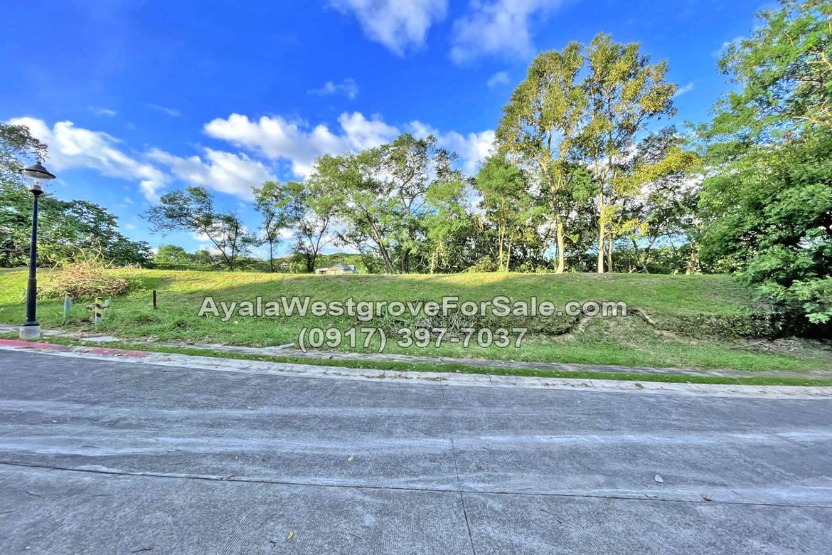 Land for Sale in Ayala Westgrove Heights, Inchican, Silang, Cavite