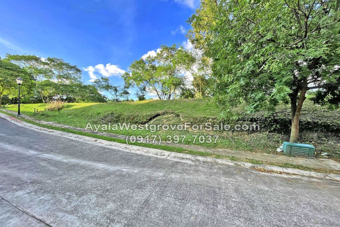 Land for Sale in Ayala Westgrove Heights, Inchican, Silang, Cavite – photo 2