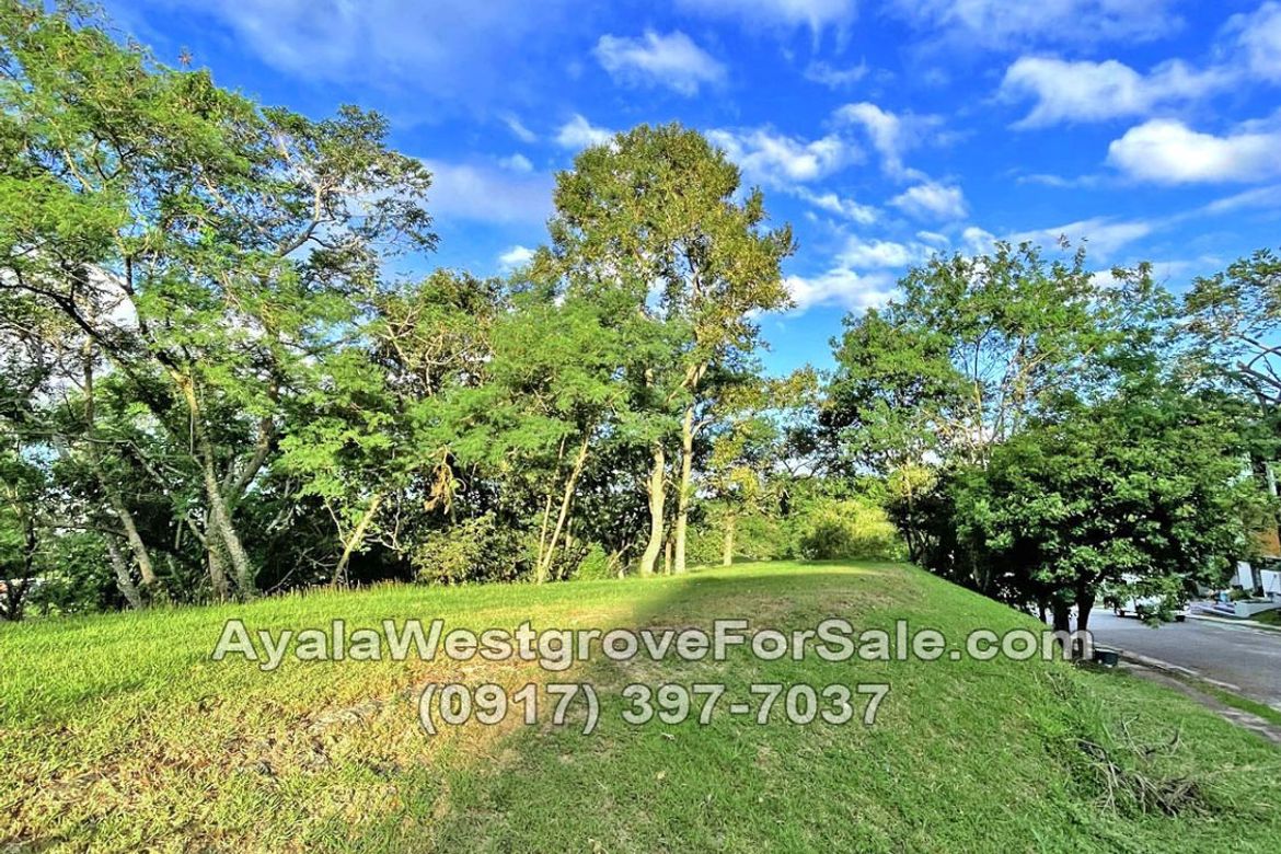 Land for Sale in Ayala Westgrove Heights, Inchican, Silang, Cavite – photo 4