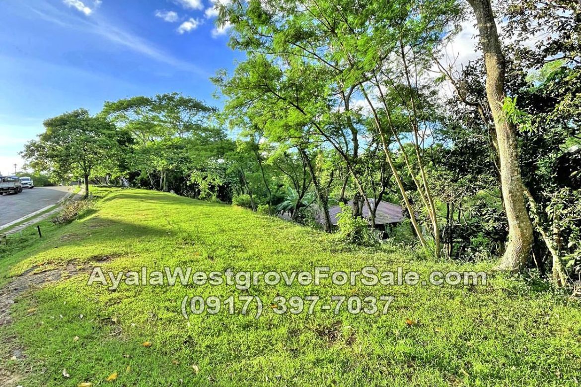 Land for Sale in Ayala Westgrove Heights, Inchican, Silang, Cavite – photo 5